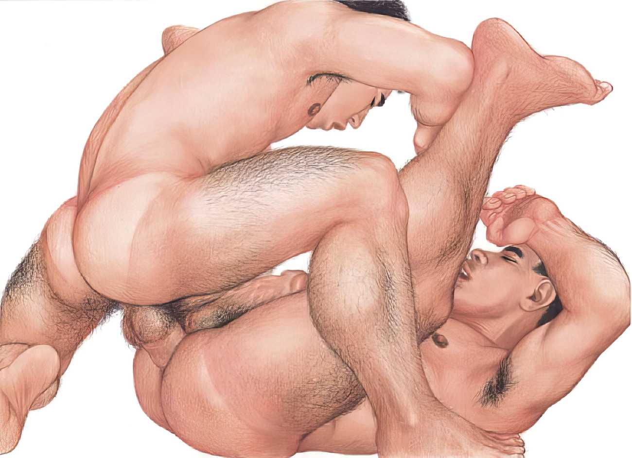 Рисунки Секс Геи