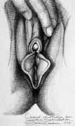 Classical vulva